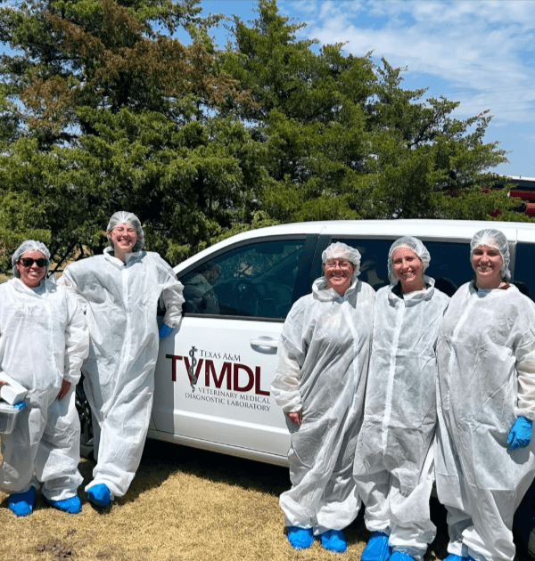 TVMDL employees visited Harper&rsquo;s Gamefarm in Booker, Texas