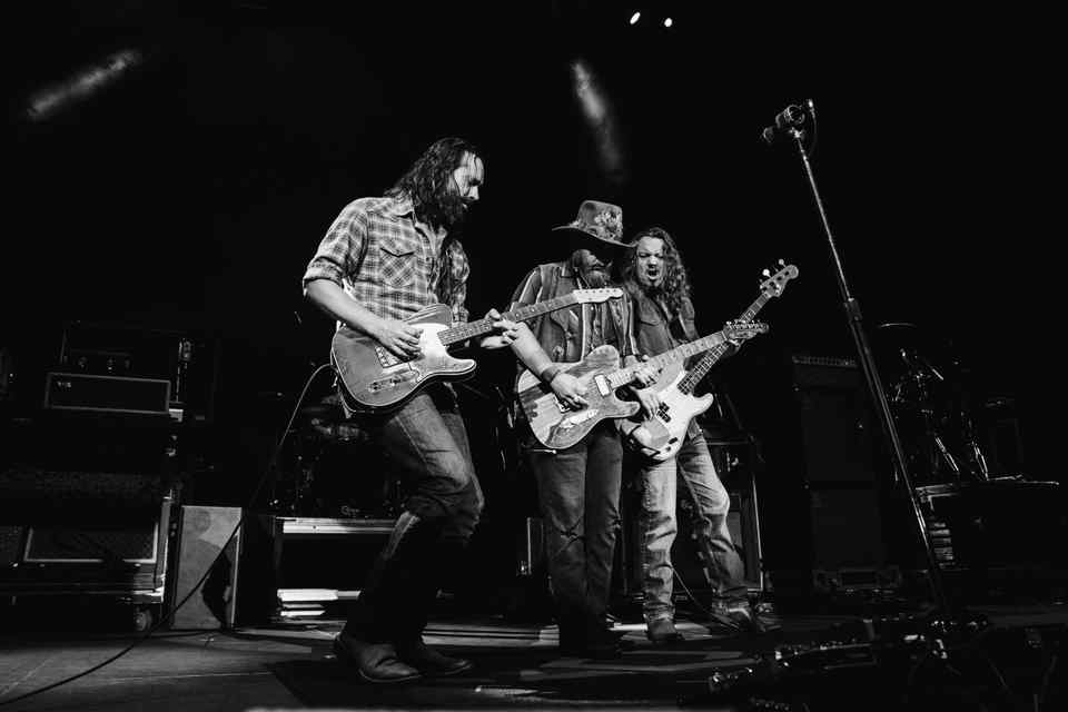 The Steel Woods Official site